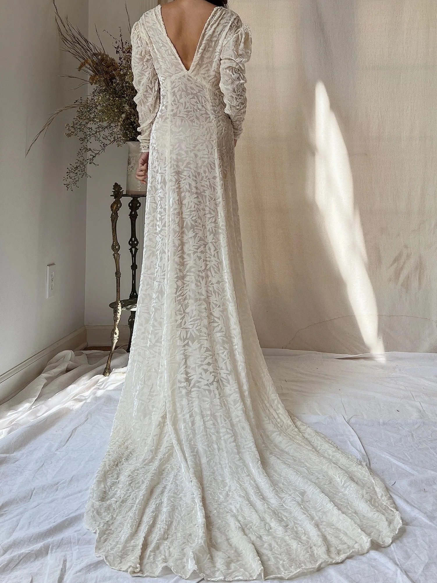 1930s Silk Velvet Devore Gown - XS