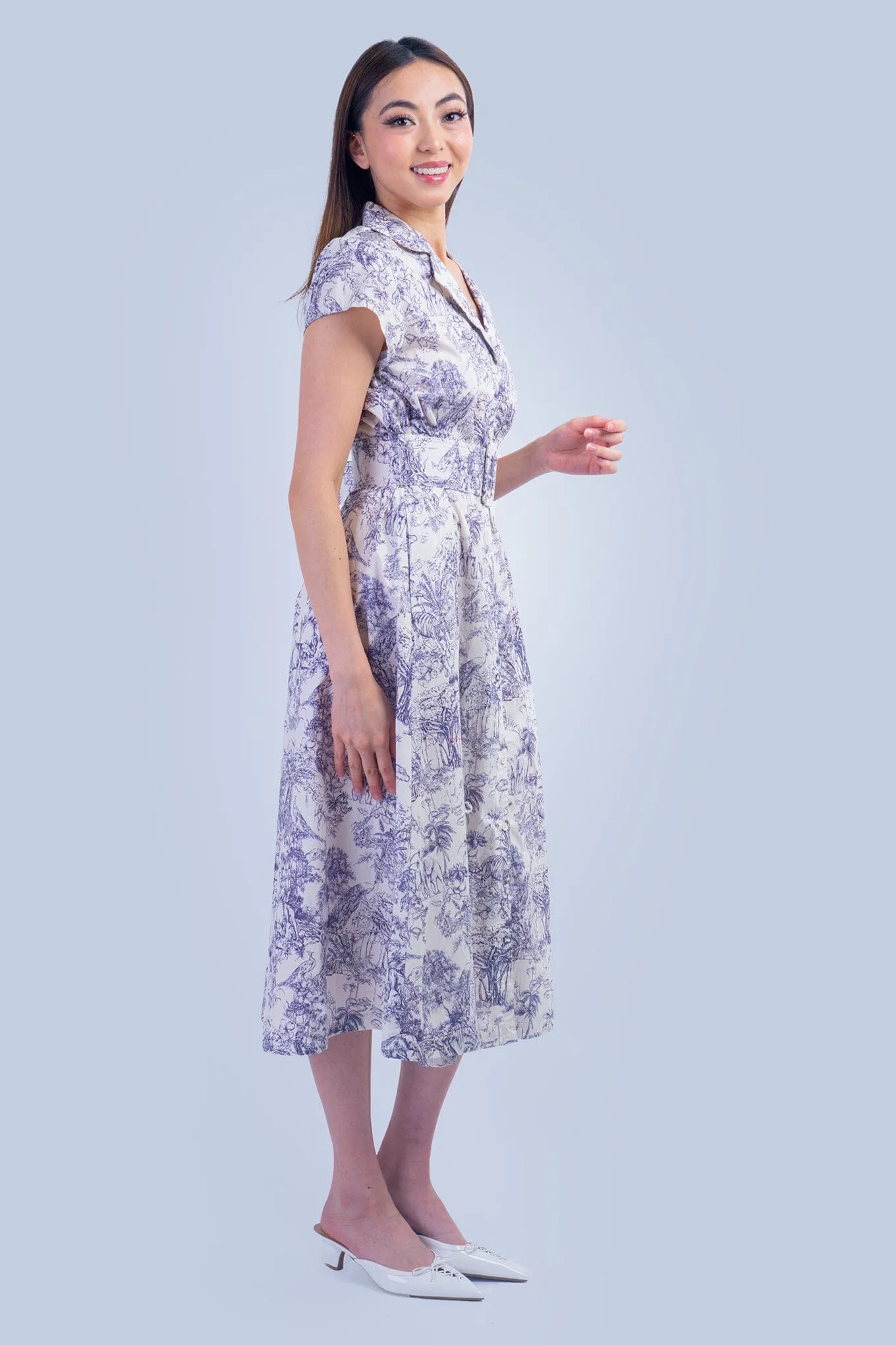 Blue and White English Country Side Print Shirt Dress