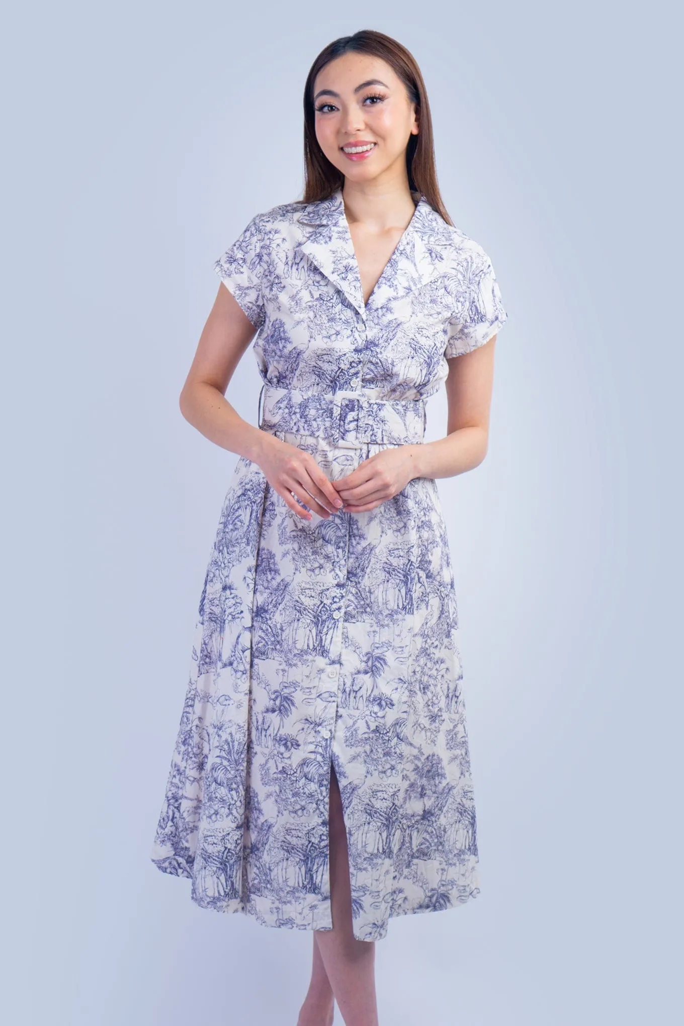 Blue and White English Country Side Print Shirt Dress