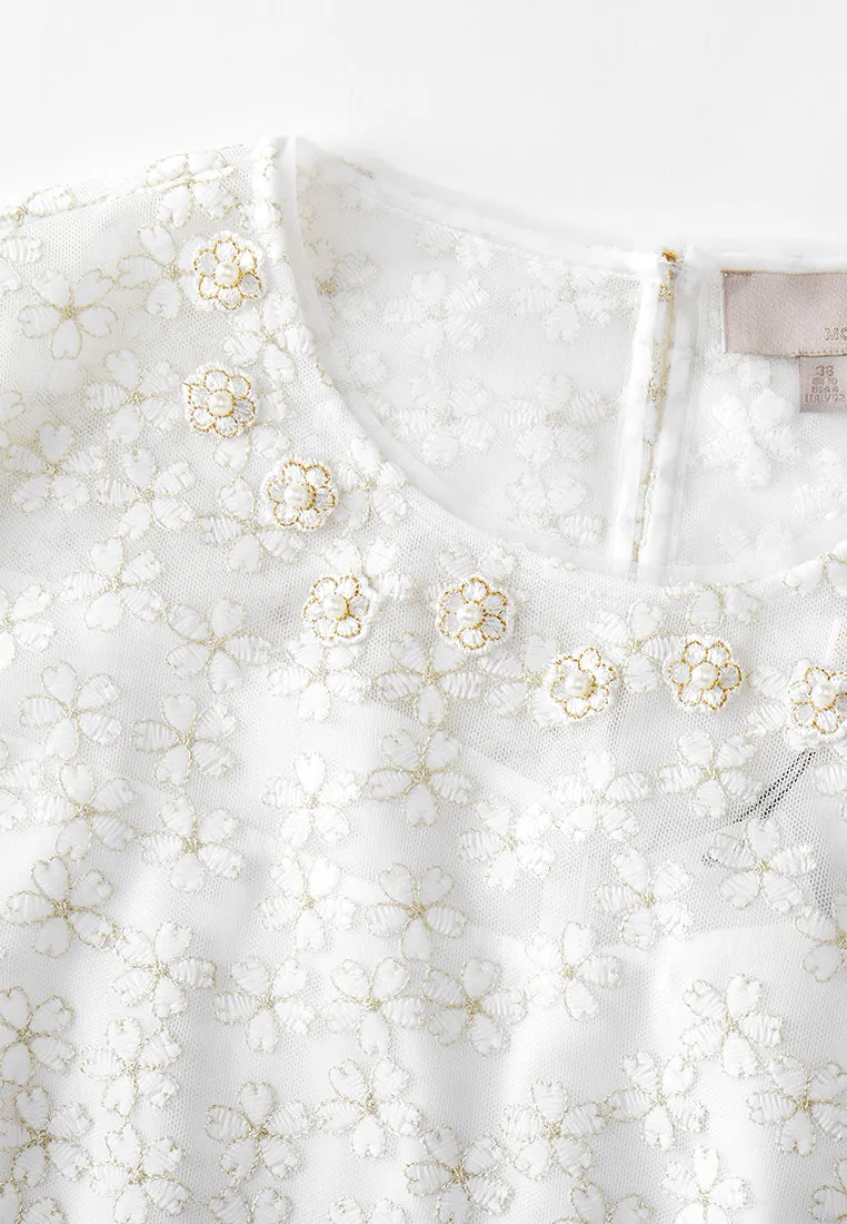 Embroidered Mesh Belted Dress
