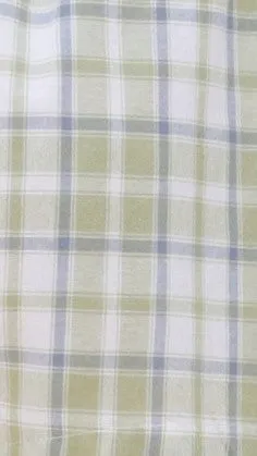 Jasilla Shorts - Green Gingham