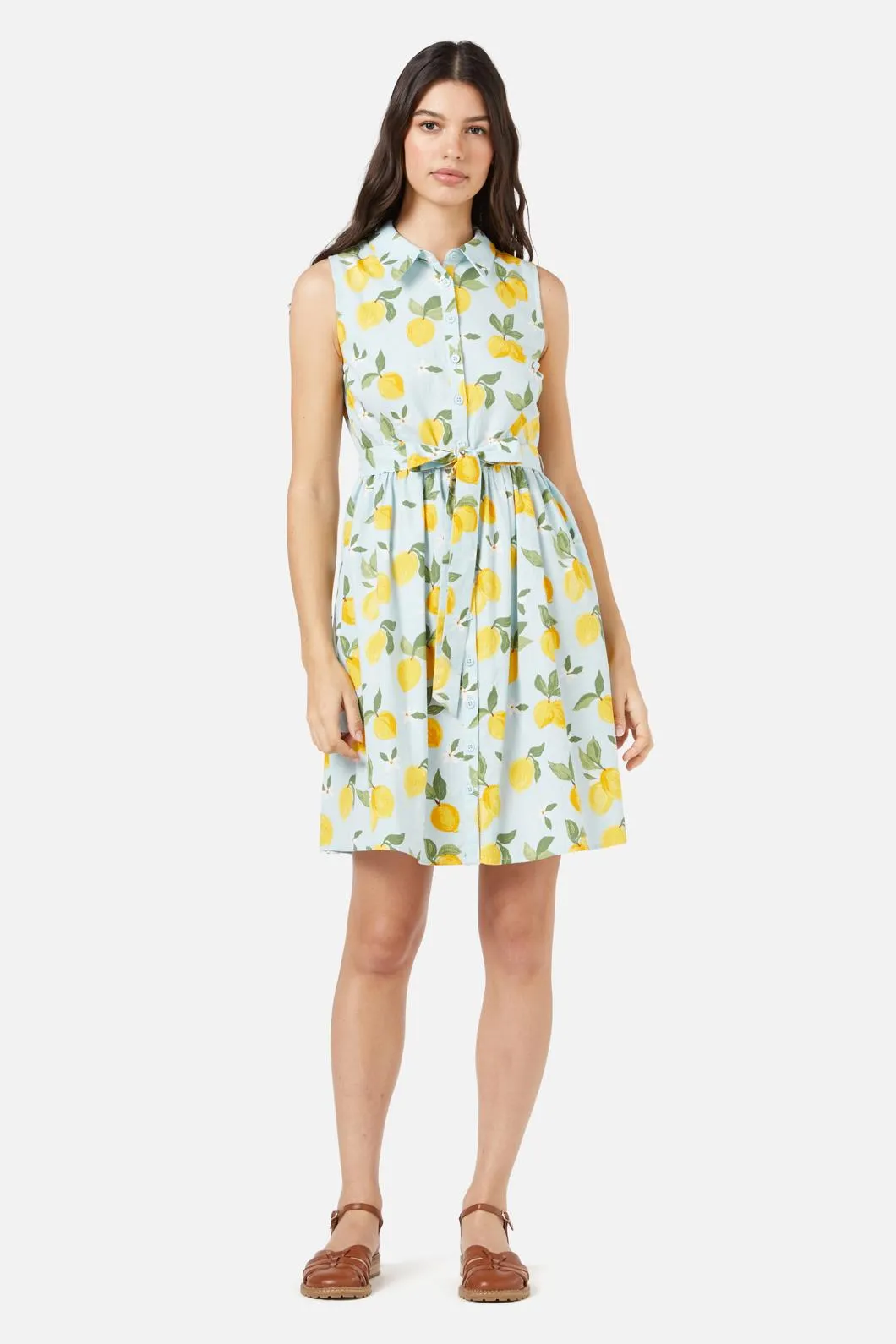 Lemon Shirt Dress