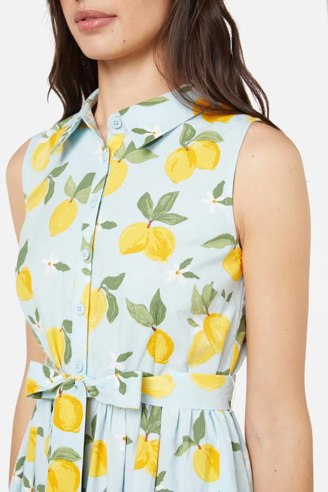 Lemon Shirt Dress