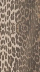 Vasila Button Up Shirt and Shorts Set - Light Leopard Print
