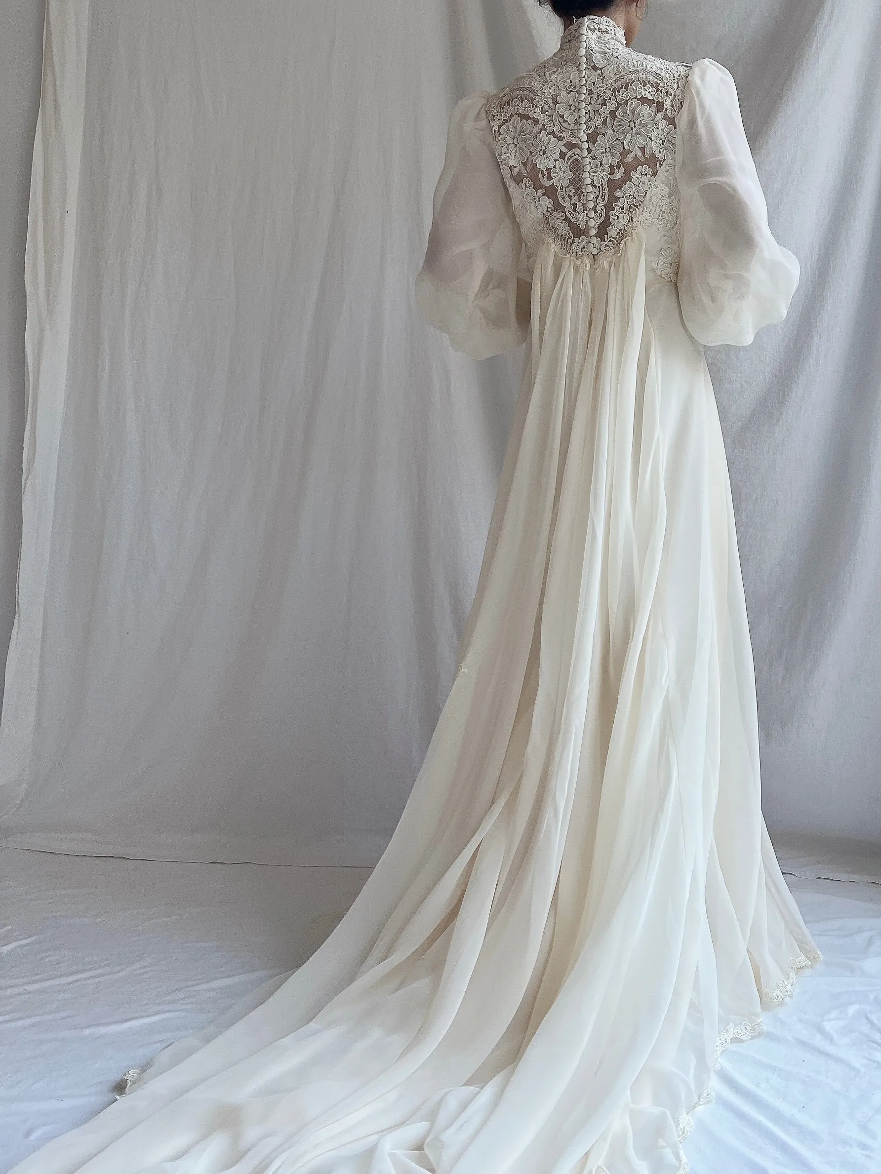 Vintage Poet Sleeve Chiffon and Lace Gown - S