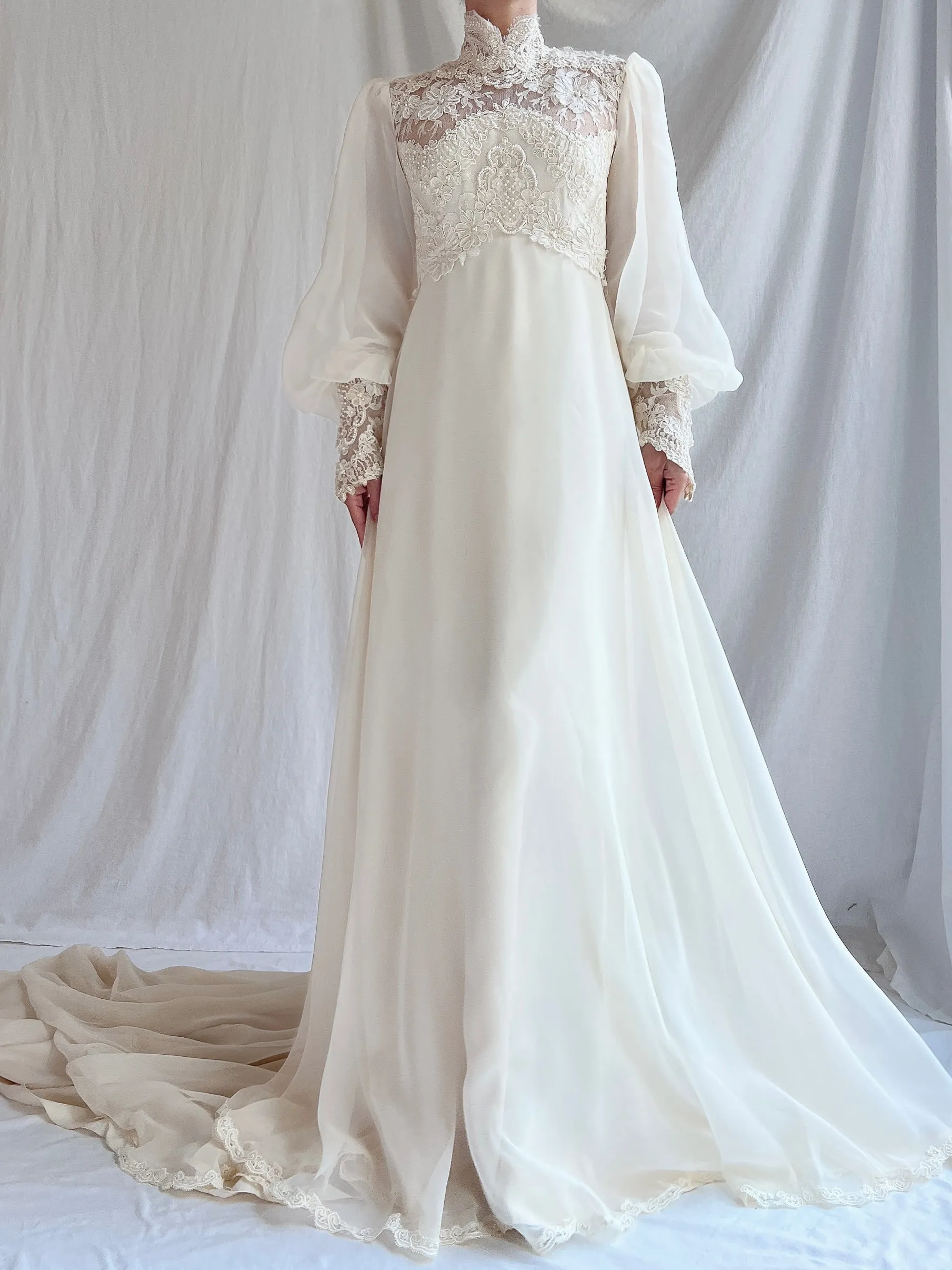 Vintage Poet Sleeve Chiffon and Lace Gown - S