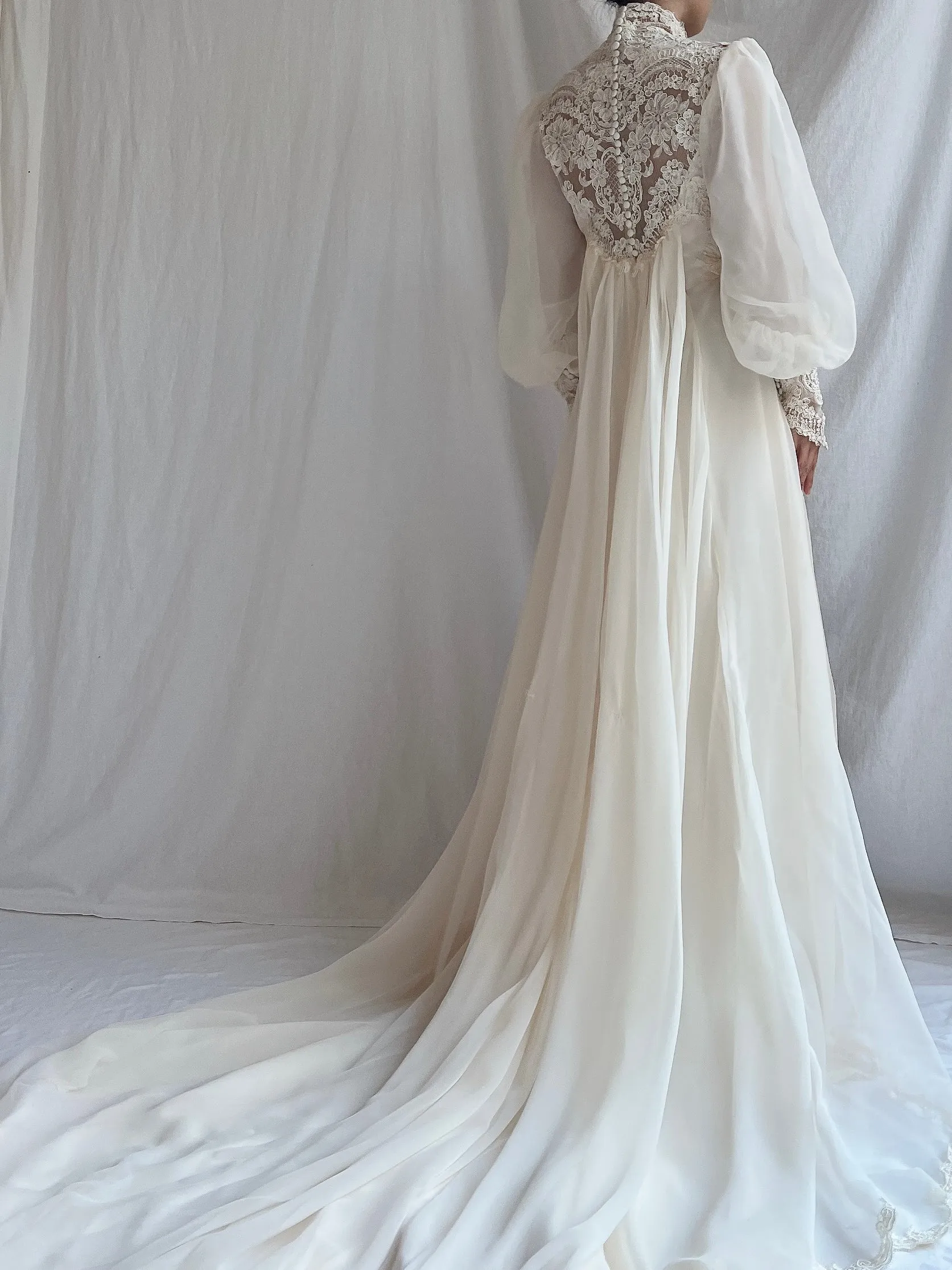 Vintage Poet Sleeve Chiffon and Lace Gown - S