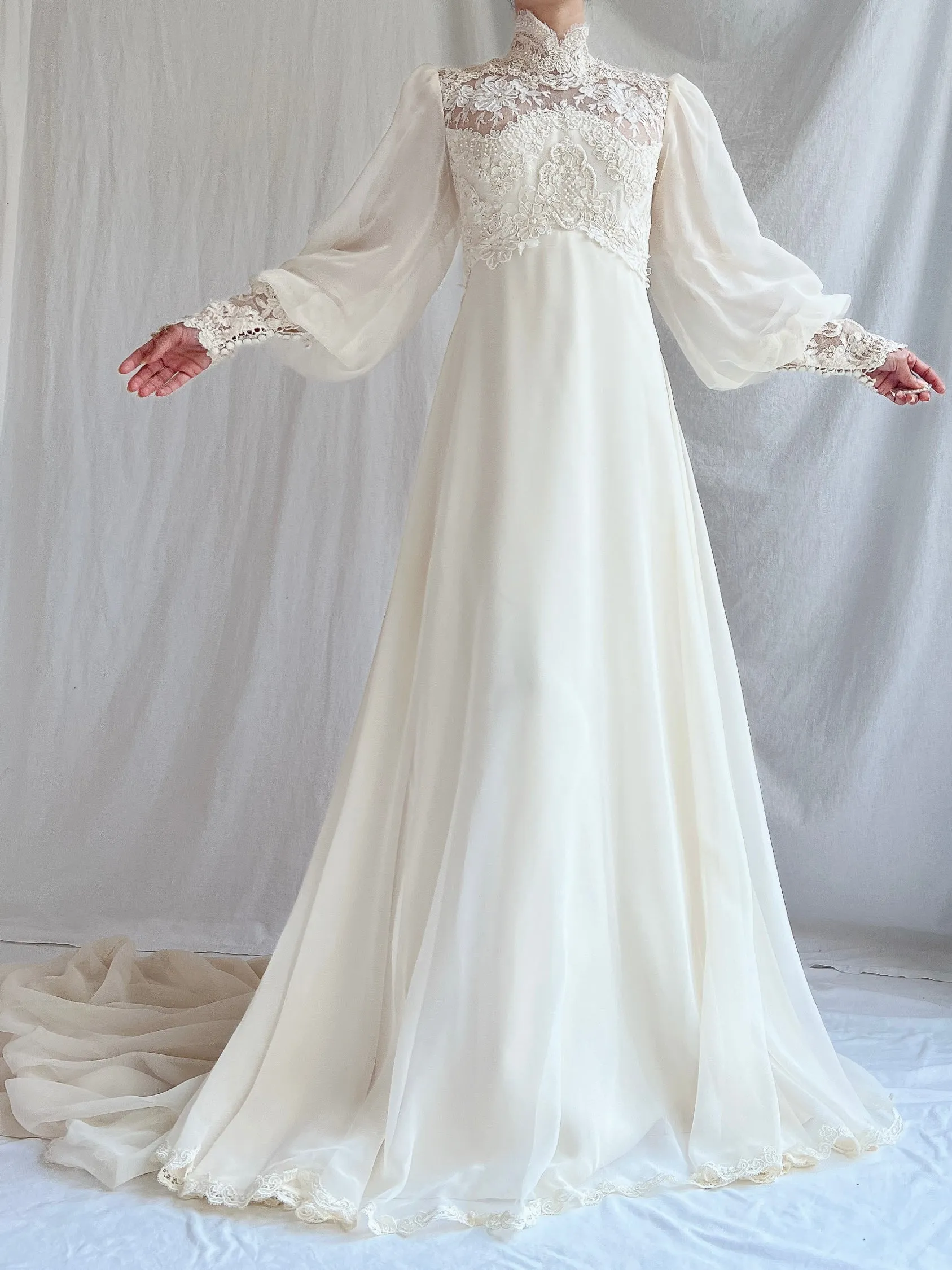 Vintage Poet Sleeve Chiffon and Lace Gown - S