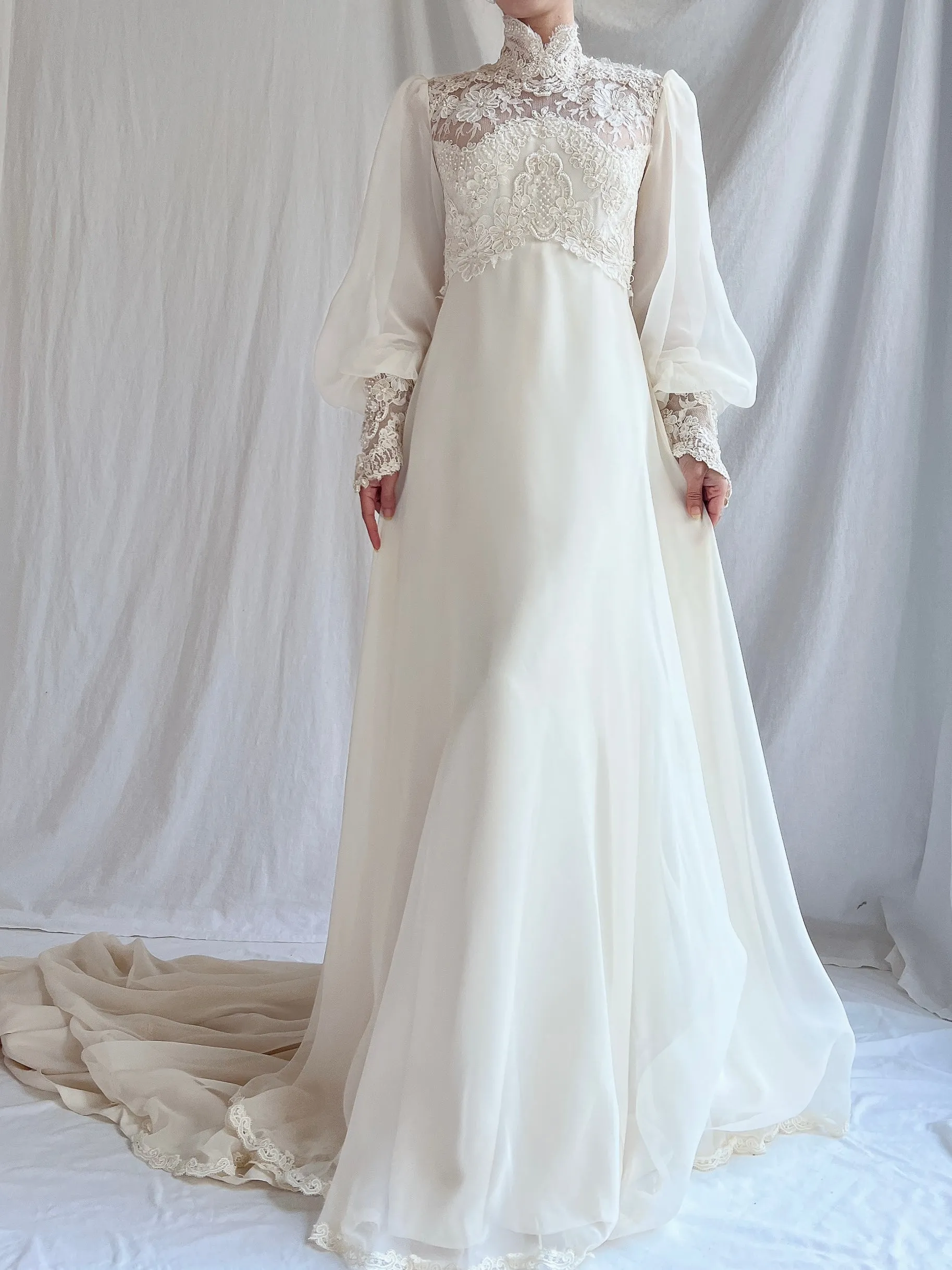 Vintage Poet Sleeve Chiffon and Lace Gown - S