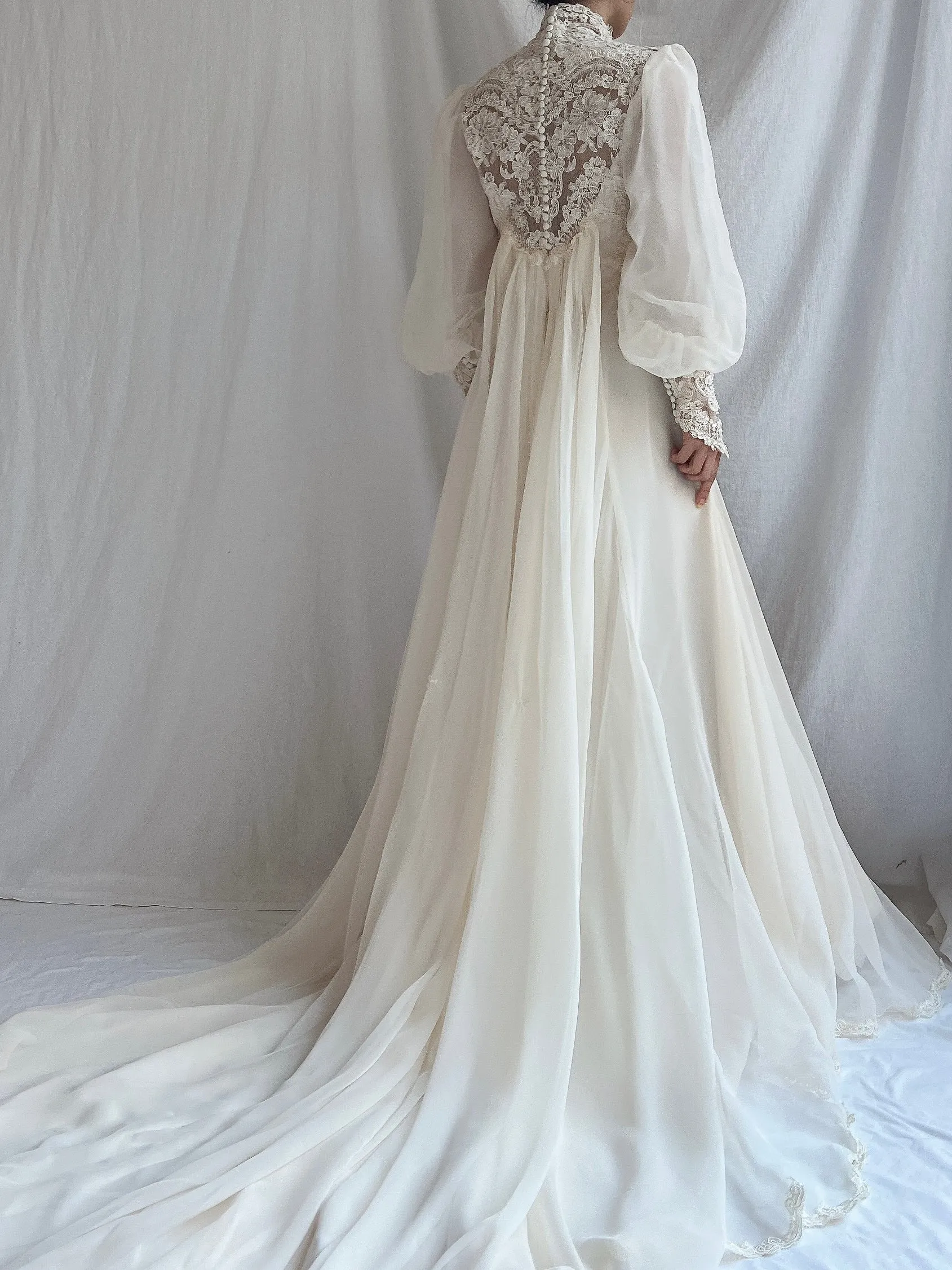 Vintage Poet Sleeve Chiffon and Lace Gown - S