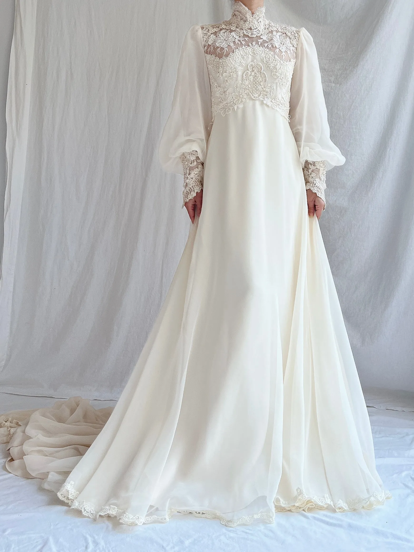 Vintage Poet Sleeve Chiffon and Lace Gown - S