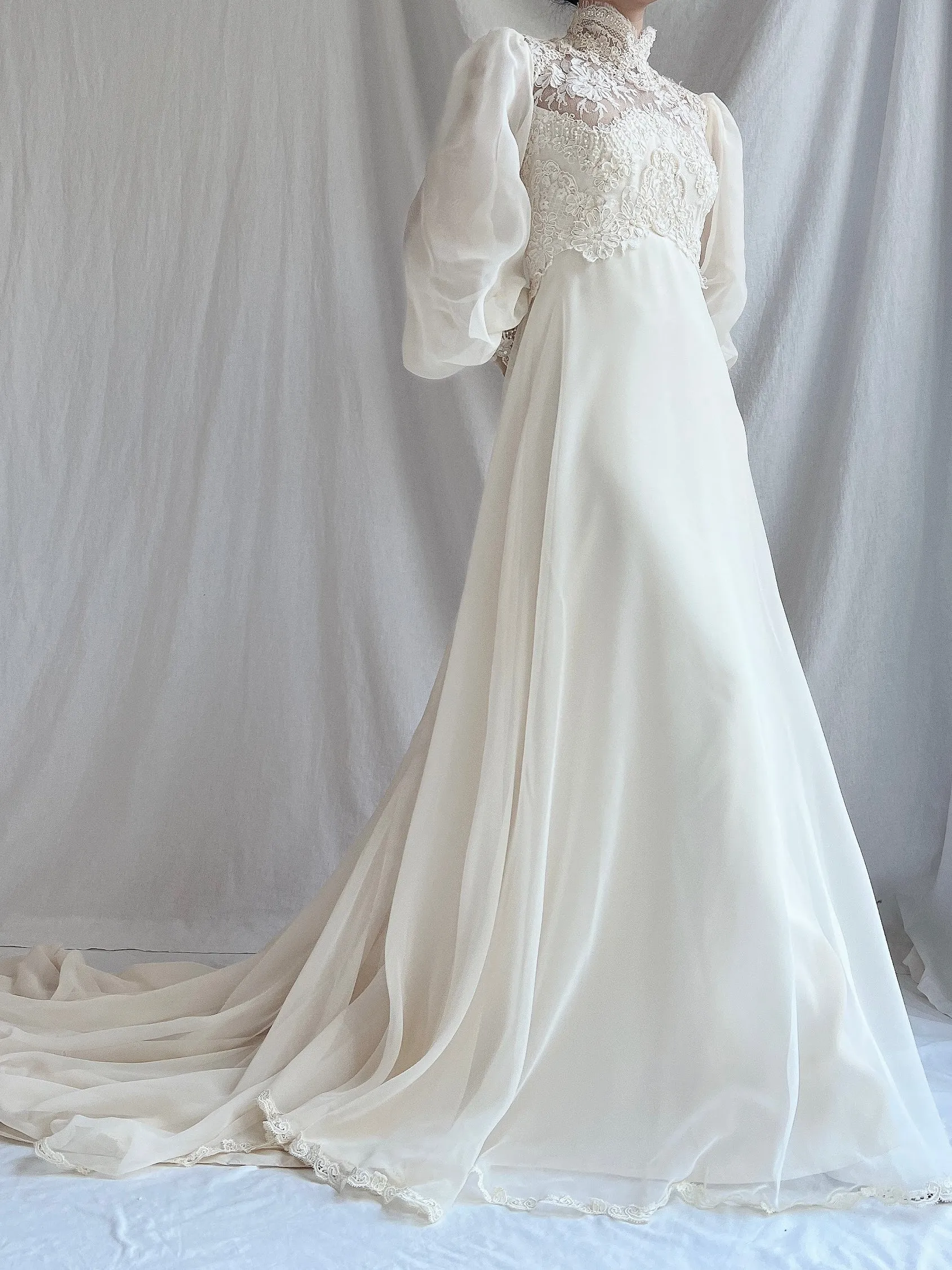 Vintage Poet Sleeve Chiffon and Lace Gown - S