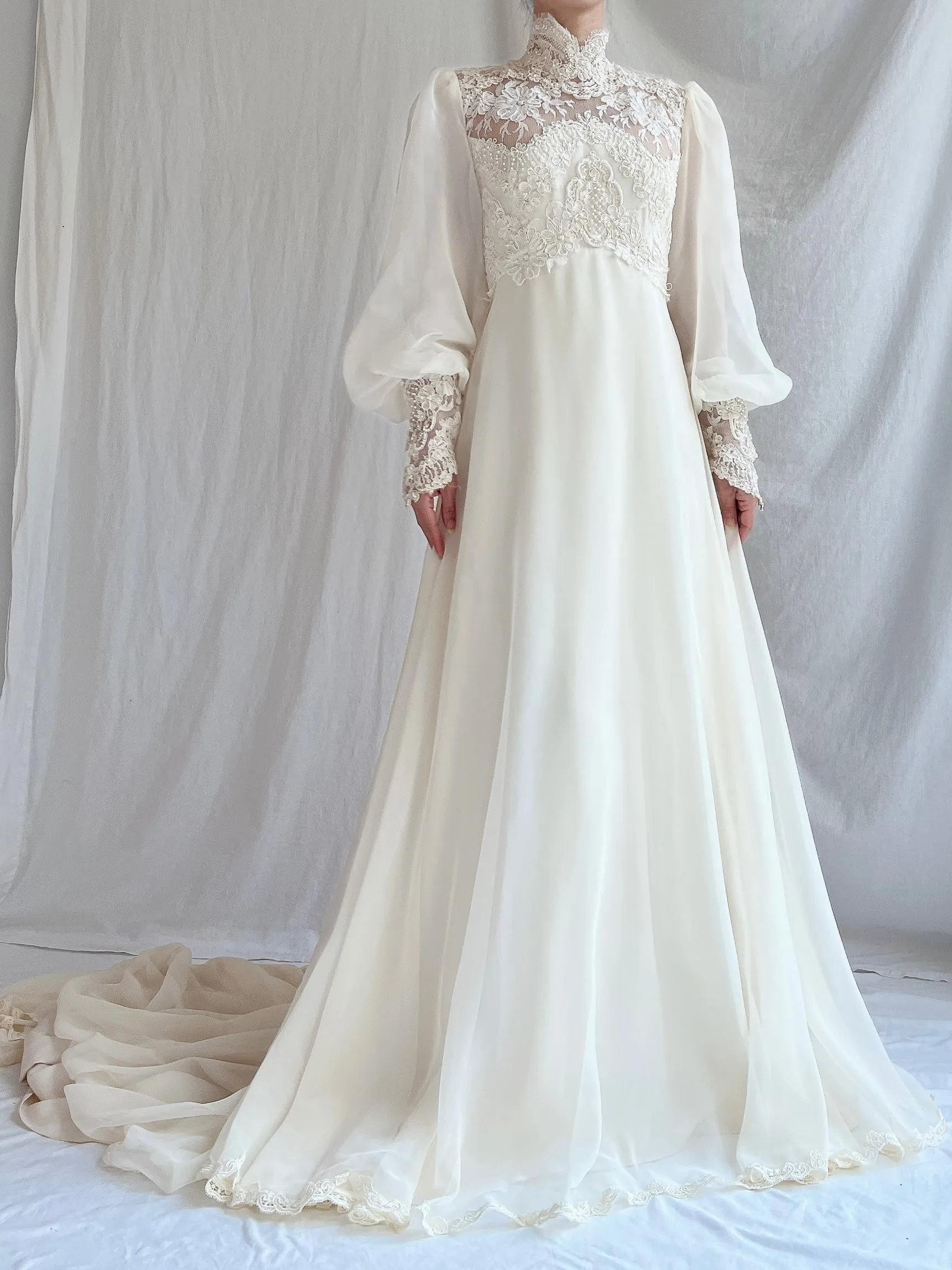 Vintage Poet Sleeve Chiffon and Lace Gown - S